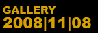 GALLERY 2008|11|08